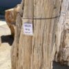 Lápida madera petrificada 55124