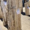 Lápida madera petrificada 55124