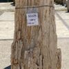 Lápida madera petrificada 55125