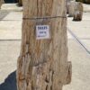 Lápida madera petrificada 55125