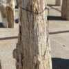 Lápida madera petrificada 55125
