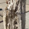 Lápida madera petrificada 55126