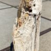 Lápida madera petrificada 55126