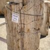 Lápida madera petrificada 55127