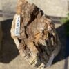 Lápida madera petrificada 55130
