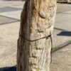 Lápida madera petrificada 55130