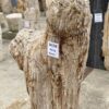 Memorial stone petrified wood 54158