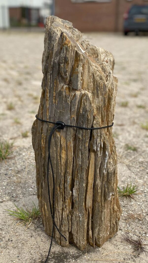 Memorial stone petrified wood 54166