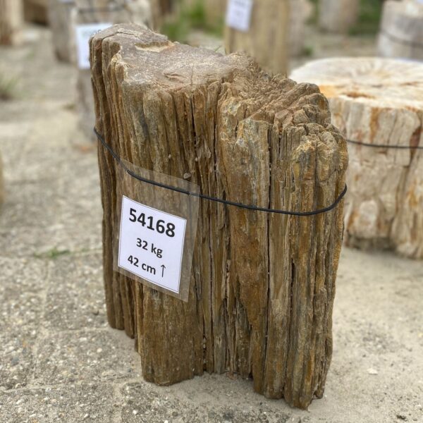 Memorial stone petrified wood 54168