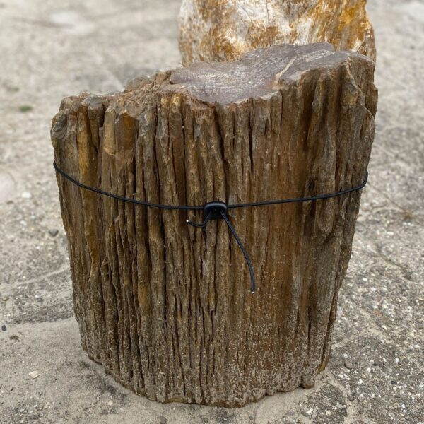 Memorial stone petrified wood 54168