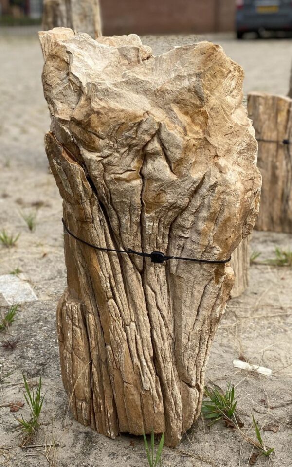 Memorial stone petrified wood 54187