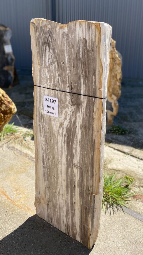 Memorial stone petrified wood 54197