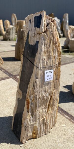 Memorial stone petrified wood 54202