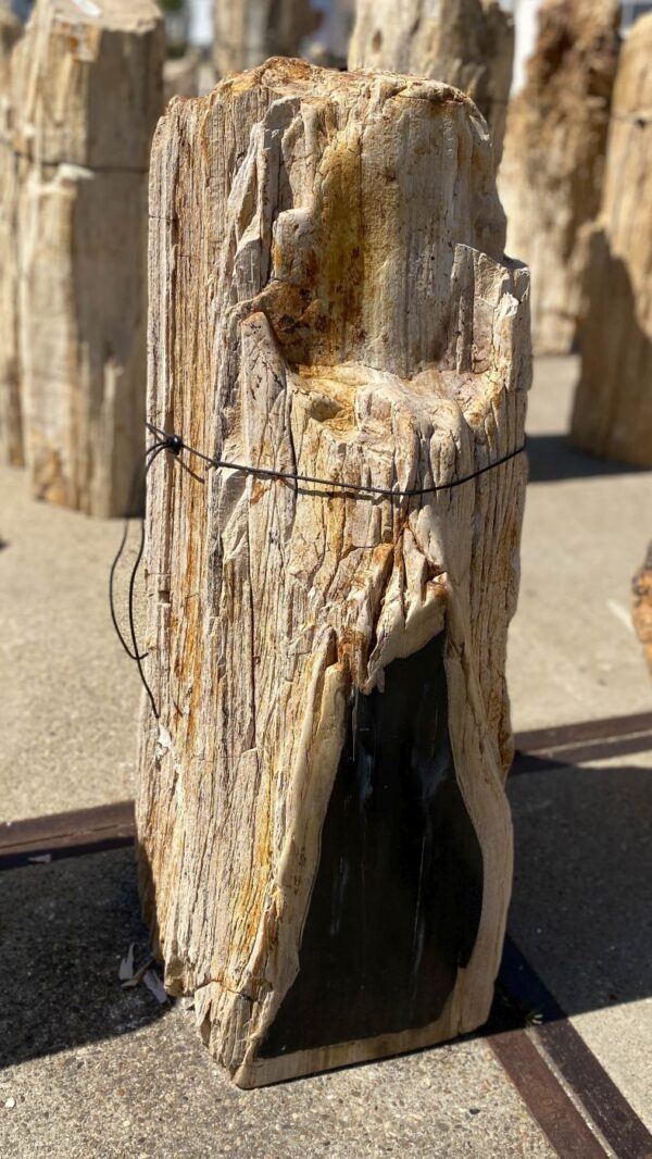 Memorial stone petrified wood 54205