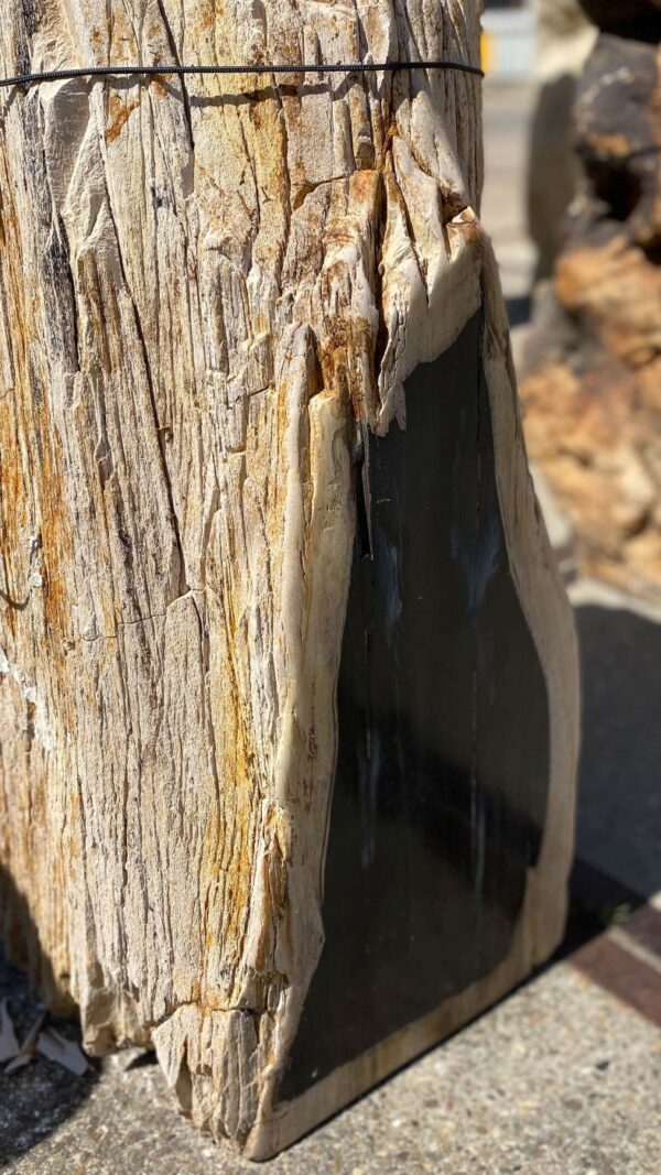 Memorial stone petrified wood 54205