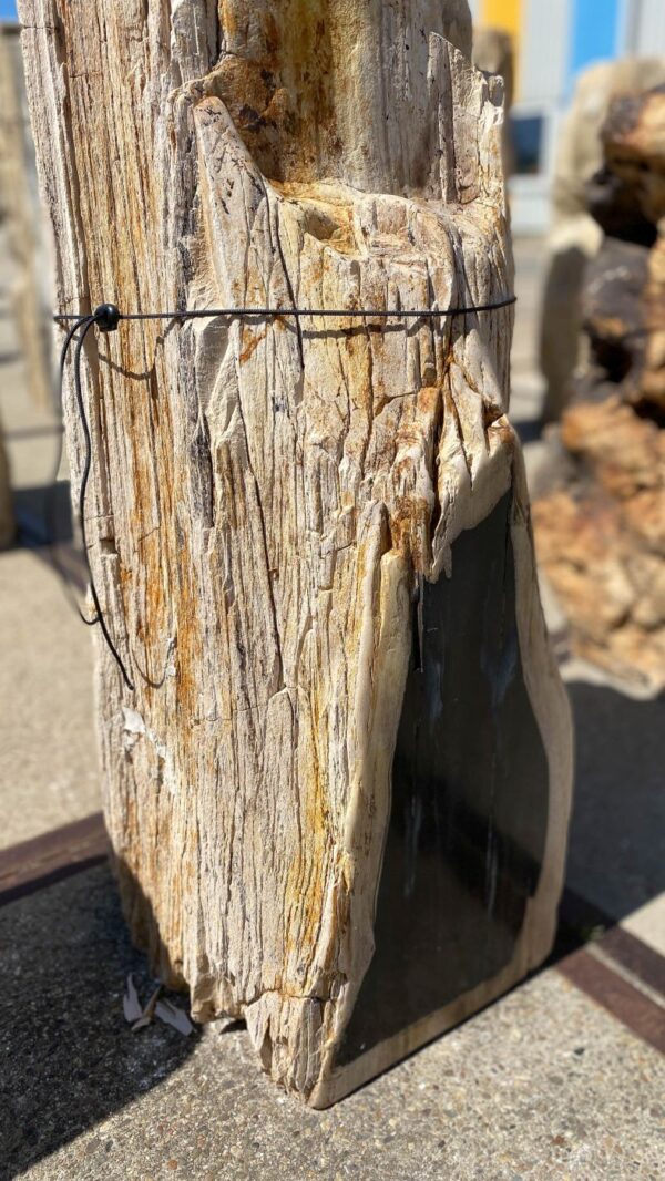 Memorial stone petrified wood 54205