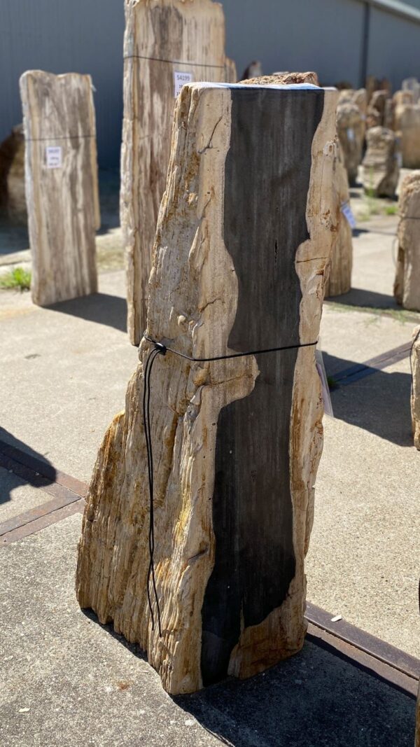 Memorial stone petrified wood 54206