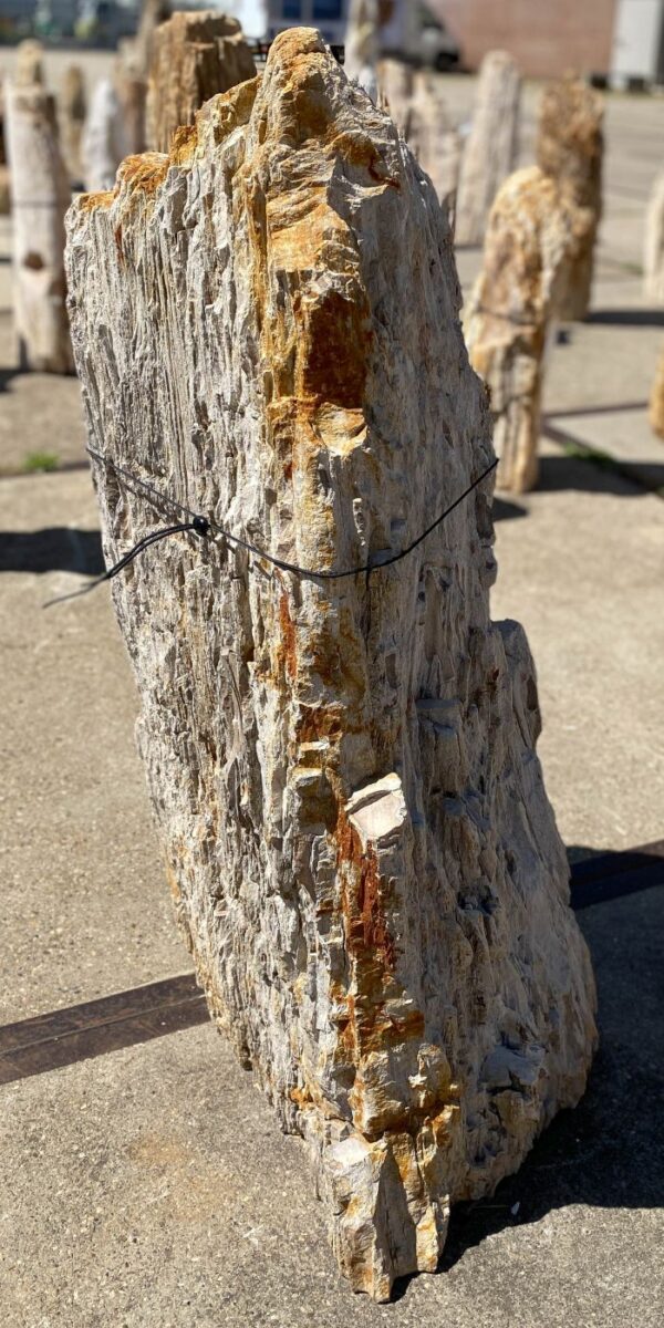 Memorial stone petrified wood 54208