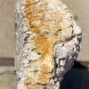 Memorial stone petrified wood 54208