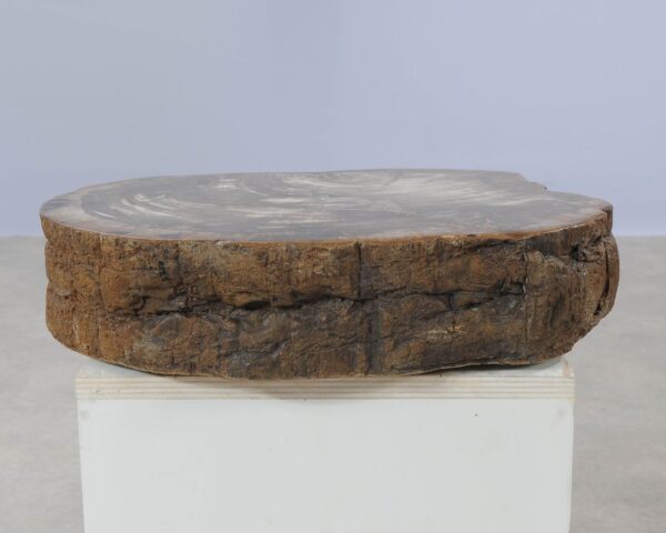 Memorial stone petrified wood 54209