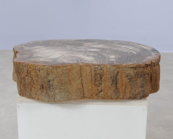 Memorial stone petrified wood 54209