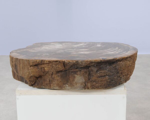 Memorial stone petrified wood 54210