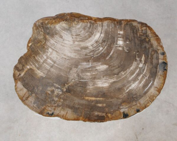 Memorial stone petrified wood 54210