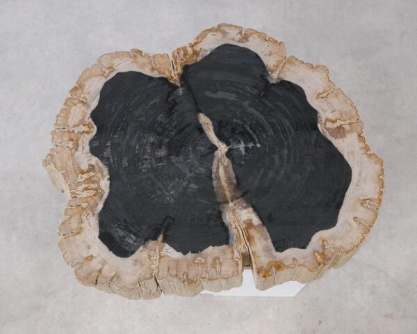 Memorial stone petrified wood 54223