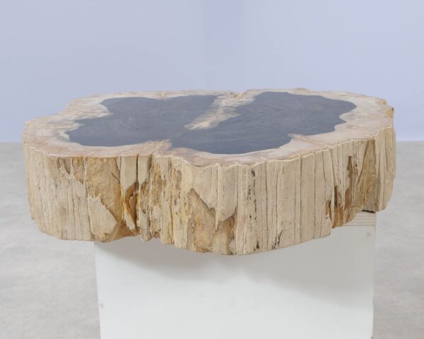 Memorial stone petrified wood 54224