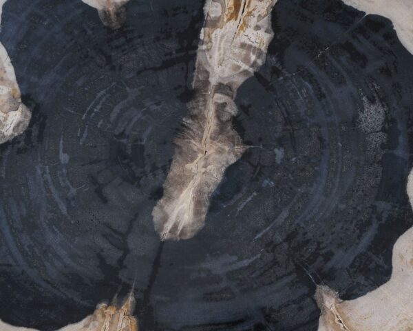 Memorial stone petrified wood 54224