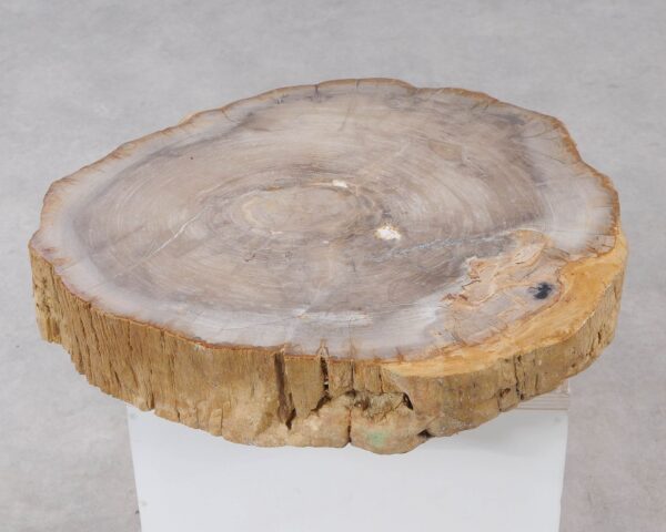 Memorial stone petrified wood 54265