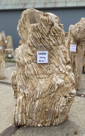 Memorial stone petrified wood 54285