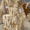 Memorial stone petrified wood 54285