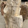 Memorial stone petrified wood 54285