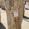 Memorial stone petrified wood 54292