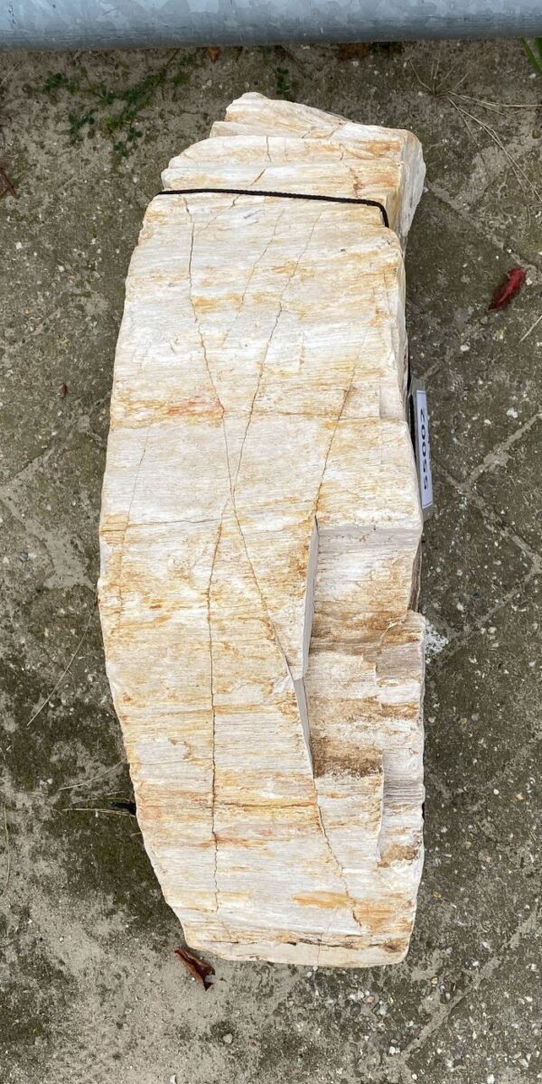 Memorial stone petrified wood 55002