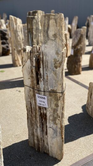 Memorial stone petrified wood 55006