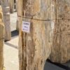 Memorial stone petrified wood 55009