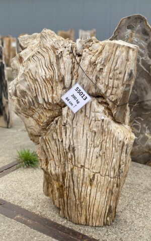 Memorial stone petrified wood 55013