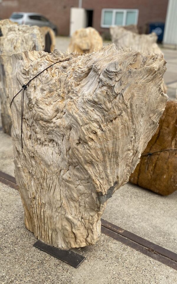 Memorial stone petrified wood 55013