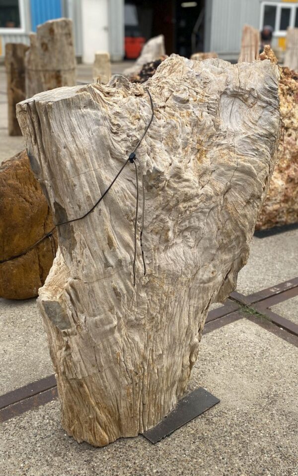 Memorial stone petrified wood 55013