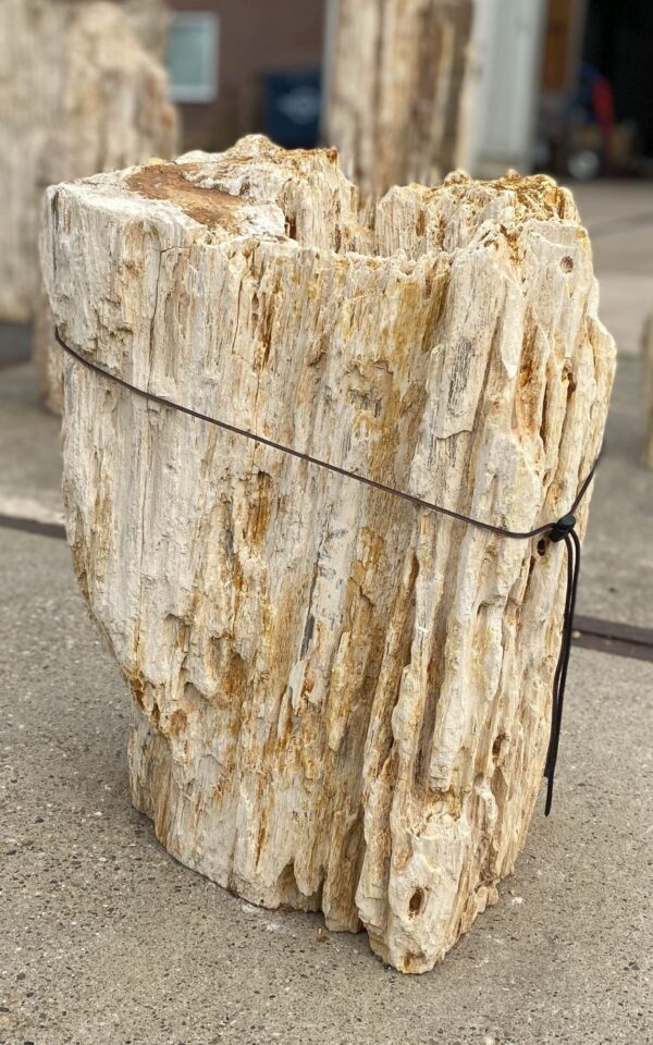 Memorial stone petrified wood 55015