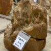 Memorial stone petrified wood 55021