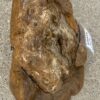 Memorial stone petrified wood 55021