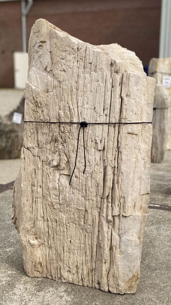 Memorial stone petrified wood 55027