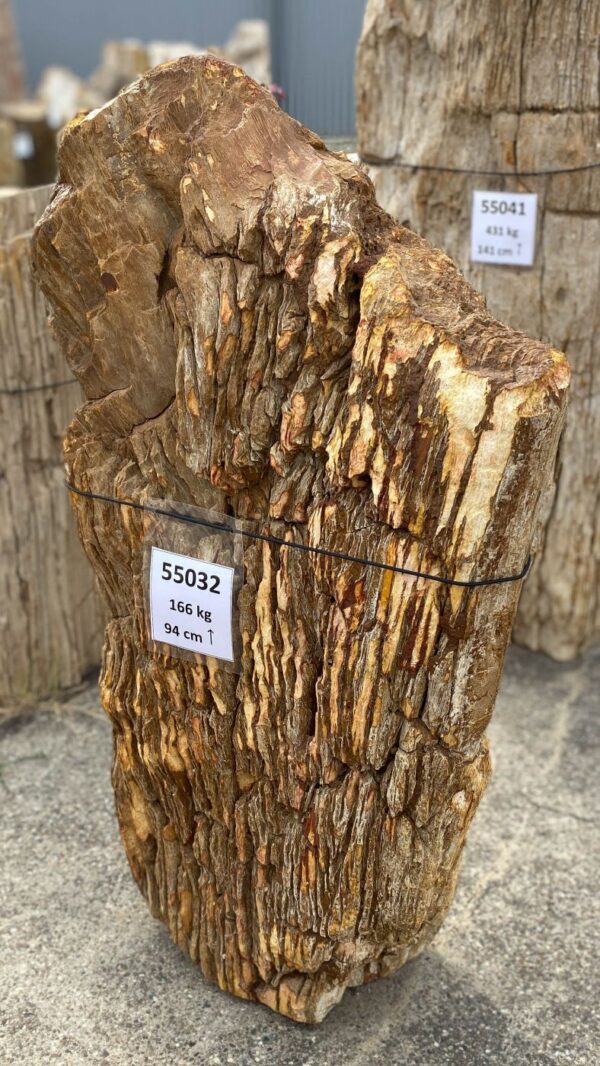 Memorial stone petrified wood 55032