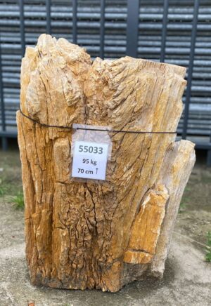 Memorial stone petrified wood 55033