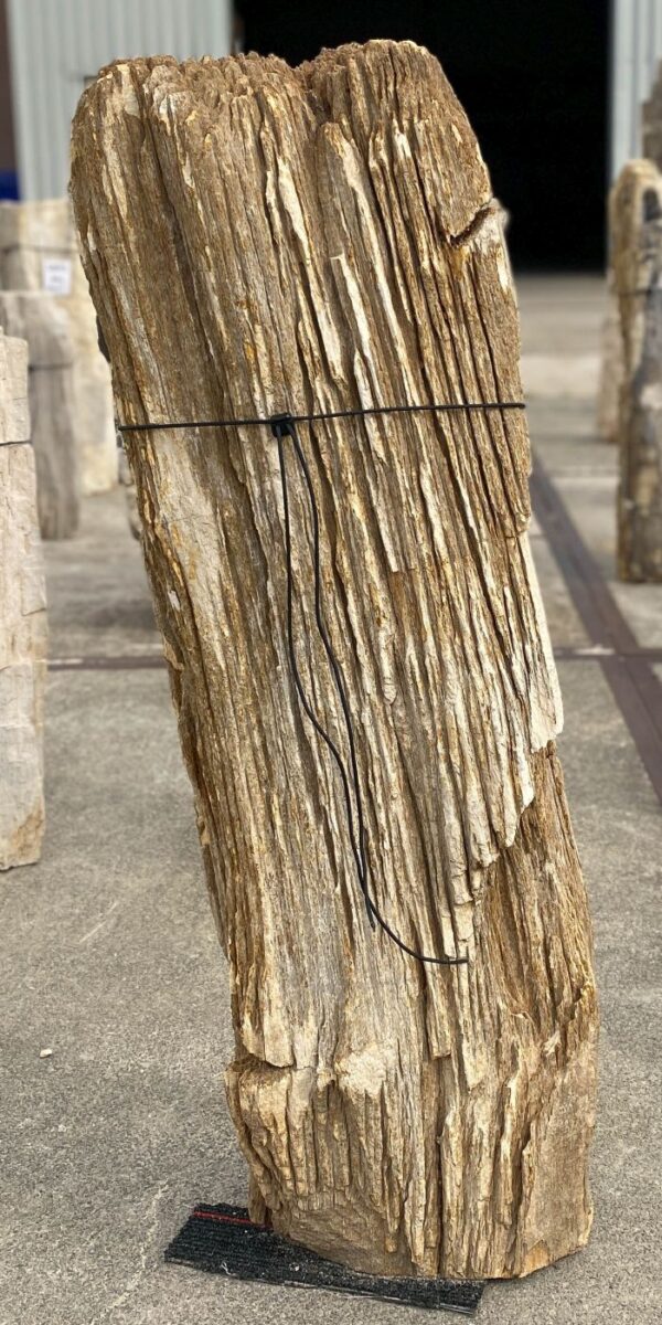 Memorial stone petrified wood 55034