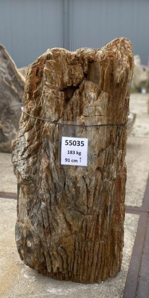 Memorial stone petrified wood 55035