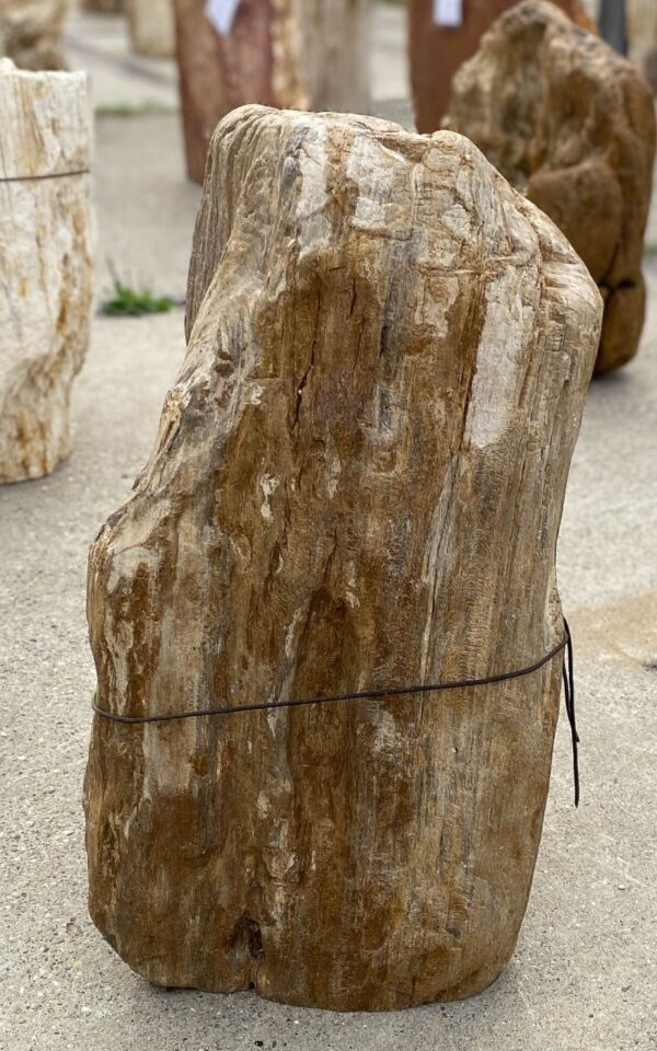 Memorial stone petrified wood 55037